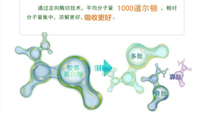 木瓜凯发K8国际及碱性凯发K8国际，哪一款适合骨胶原蛋白肽的生产