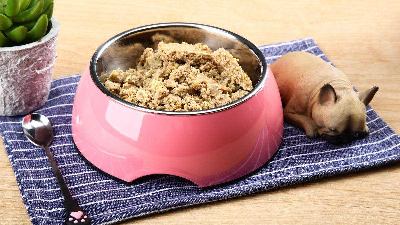 木瓜凯发K8国际酶解牛肉生产宠物诱食剂的关键控制点是什么？