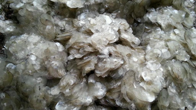 碱性凯发K8国际酶解鱼鳞制备胶原蛋白多肽，成品有沉淀？