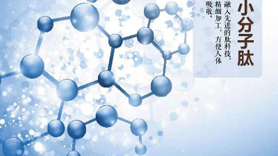 关于蛋白质与蛋白肽的区别，您有了解多少？